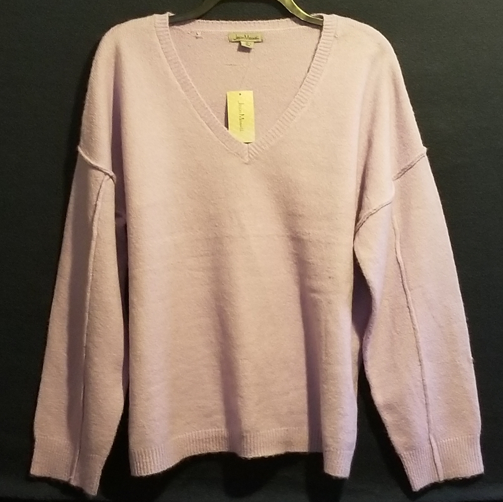 Jason Maxwell Women's V-Neck Sweater